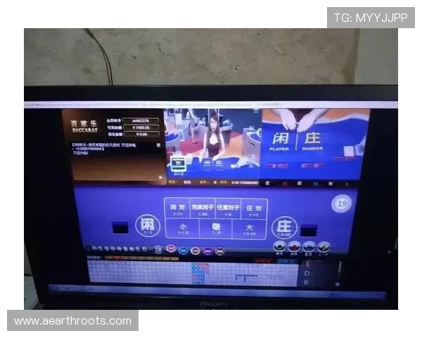 利用百家乐录单软件优化游戏策略，实现持续盈利的实用技巧与操作建议